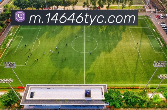 赛事专题整合
